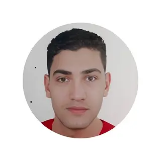 Sayed Mohamed Fawaz